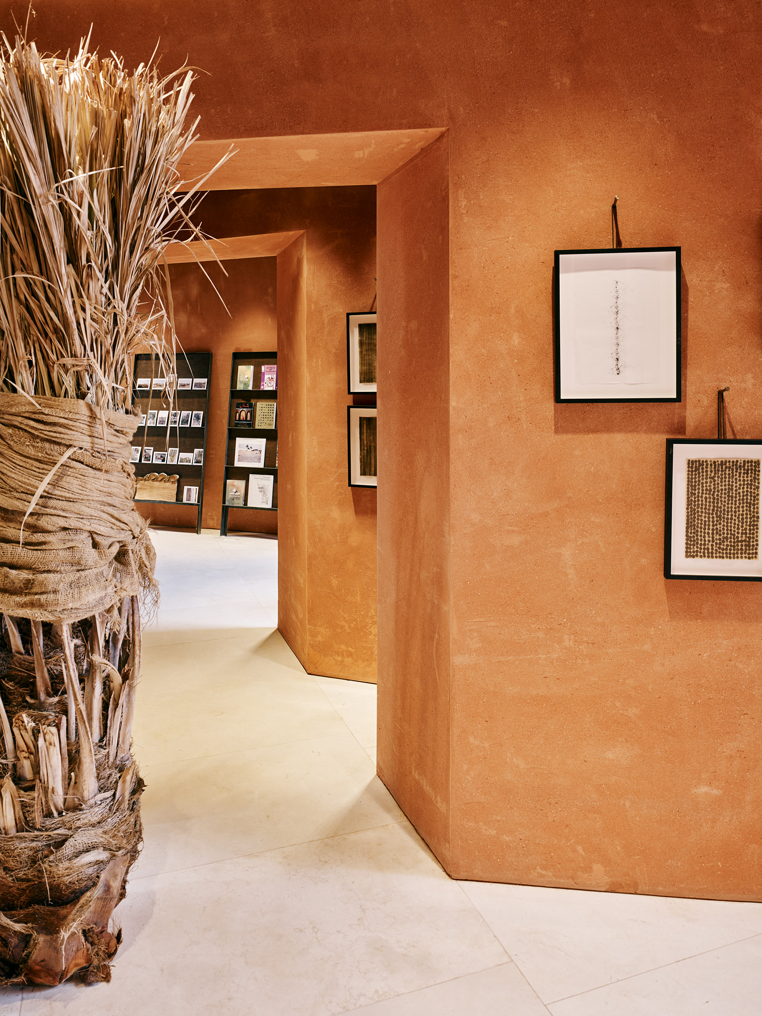 E15547 Alpa 050311 SCREEN